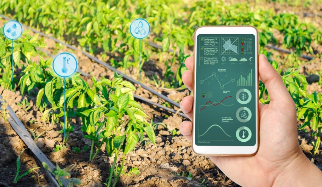 A person holding up their cell phone in front of some plants.